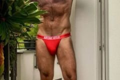 dima033