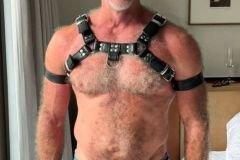 MikeVollman004