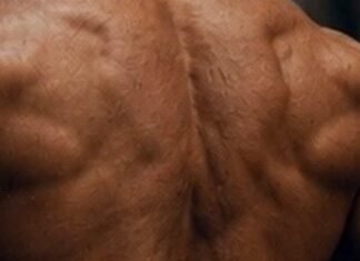 Building a Wide V-Taper in Your 40s & 50s