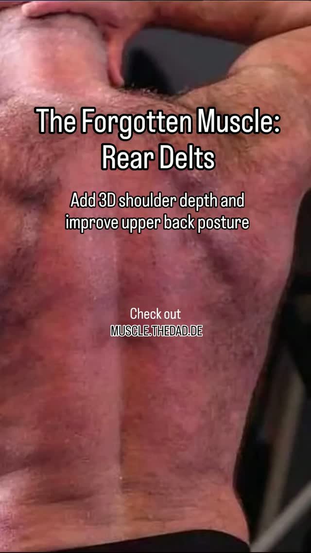 The Forgotten Muscle: Rear Delts
Underdeveloped rear delts flatten your side profile and contribute to poor shoulder posture. Learn dedicated cable and machine movements that add 3D depth to your upper back and delts.

Check out the rear delt breakdown:
🔗 Link in Bio