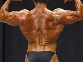 Building a Dense Upper Back and Lats Without Lower Back Strain